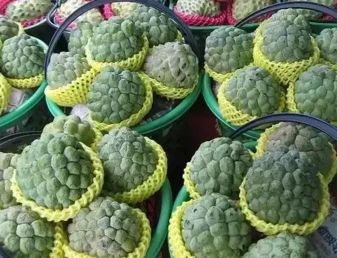 盘点一下那些少见而又奇葩的水果,千奇百怪的水果图片