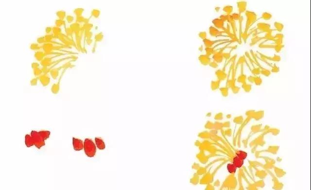 果果小写意牡丹画法教学视频,王绣写意牡丹画法零基础视频