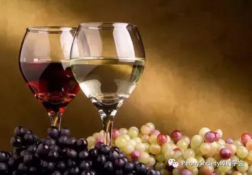 杯酒人生红酒品鉴,杯酒人生品味生活
