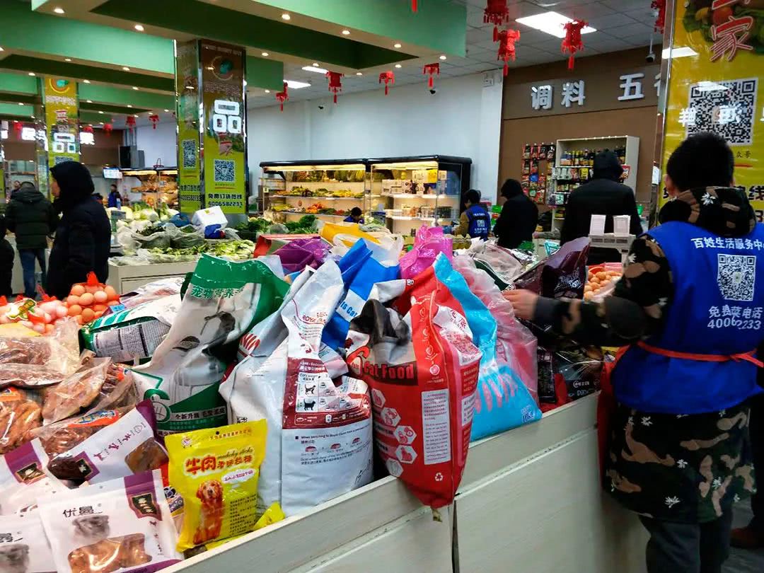 北京：大爷大妈和老狗狗们的幸福生活