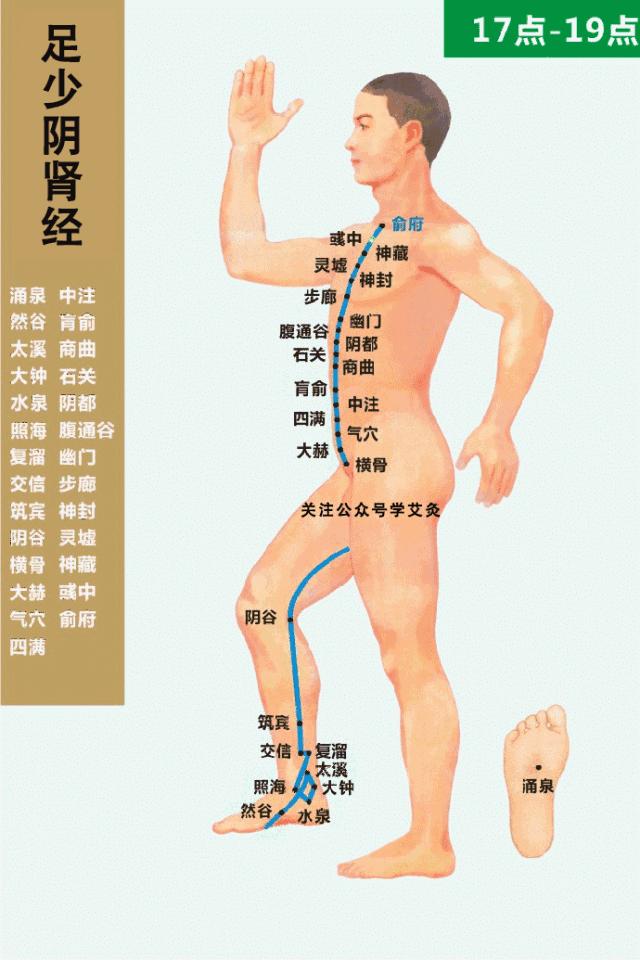 经络循行动画图,肝经经络循行穴位