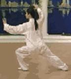 太极二十四式入门基本动作,太极入门学24式吗