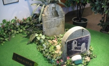 萌爆啦!爱猫君的朝圣之地!吃喝玩乐尽在古晋猫城