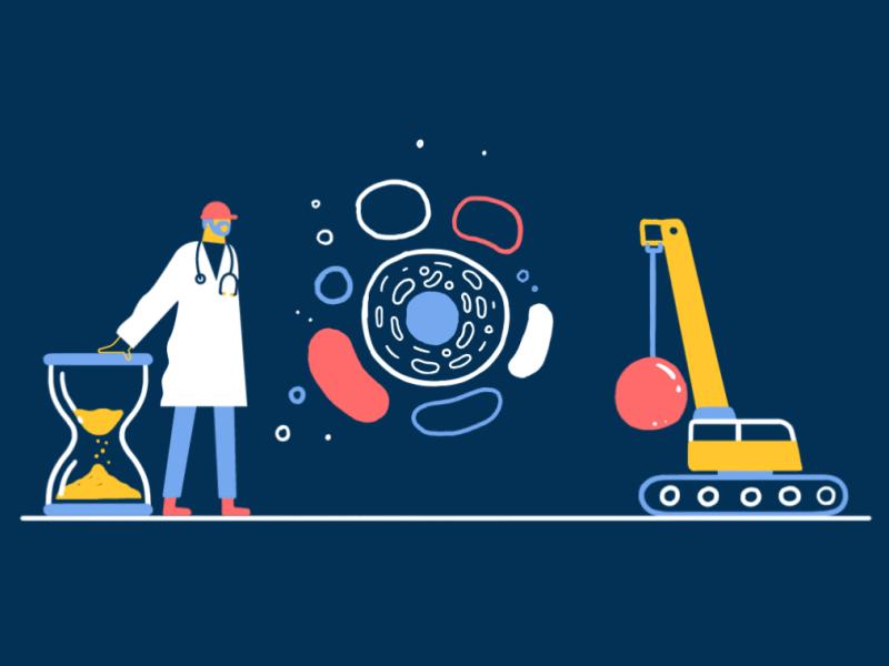 有趣的动画形式,有趣的动画制作方案