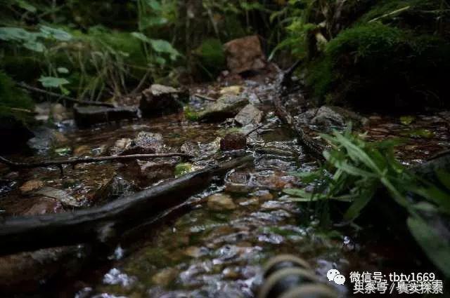 汉水源头南源,汉江南水北调的源头