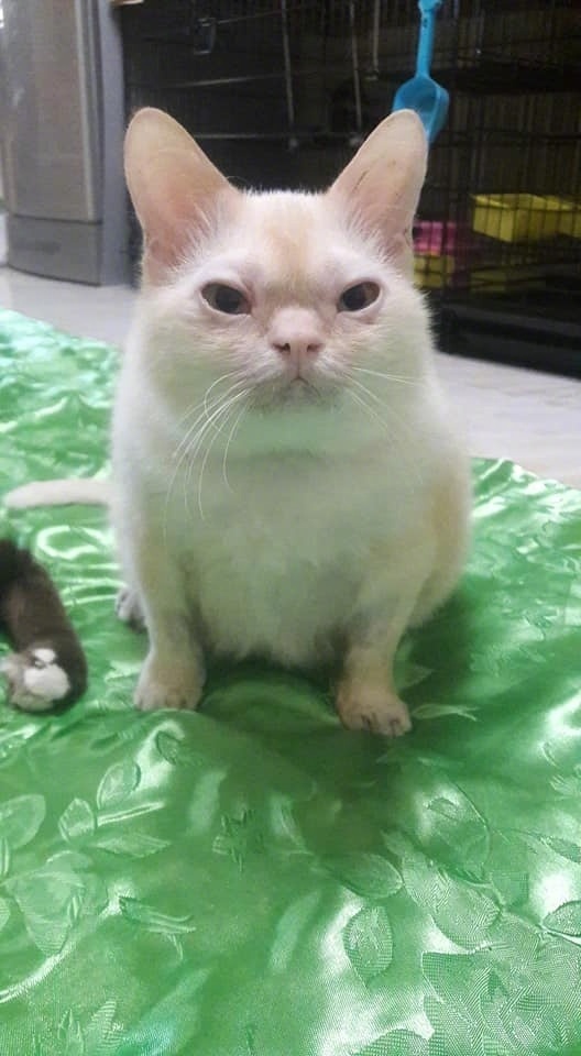 年会抽中11万元,年会抽中iphone