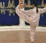 太极二十四式入门基本动作,太极入门学24式吗