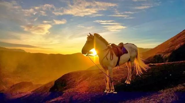 终极火山体验：在爪哇之巅，遇见蓝色地狱之火