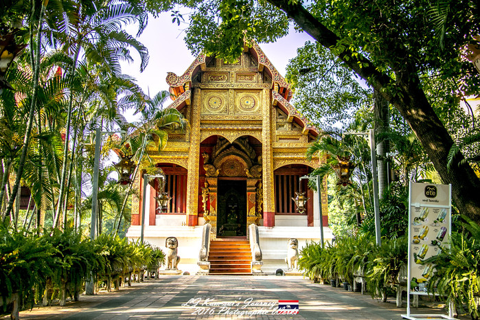 泰国清迈县旅行者,清迈佛寺之城等你采撷的泰北玫瑰
