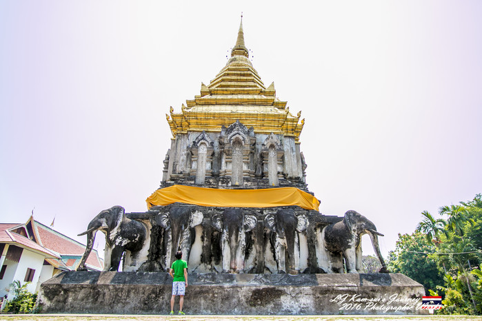 清迈佛寺之城等你采撷的泰北玫瑰,清迈环球旅行家