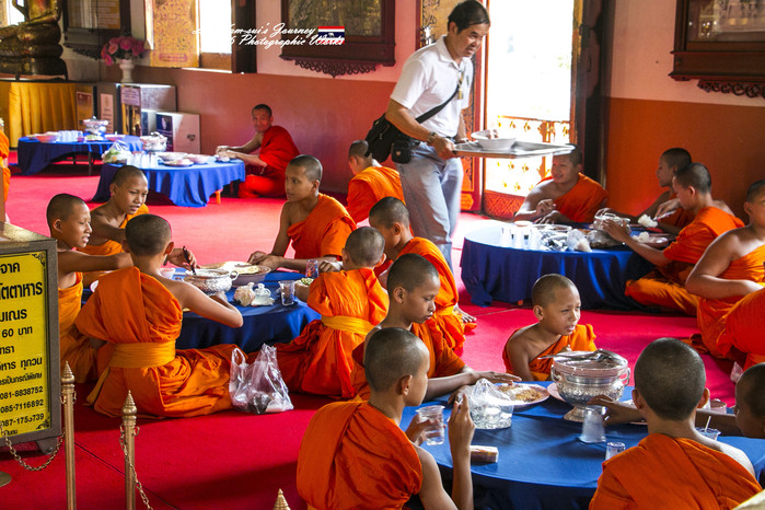 泰国清迈县旅行者,清迈佛寺之城等你采撷的泰北玫瑰