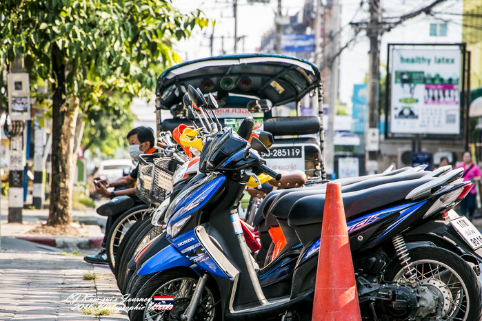 清迈佛寺之城等你采撷的泰北玫瑰,清迈环球旅行家