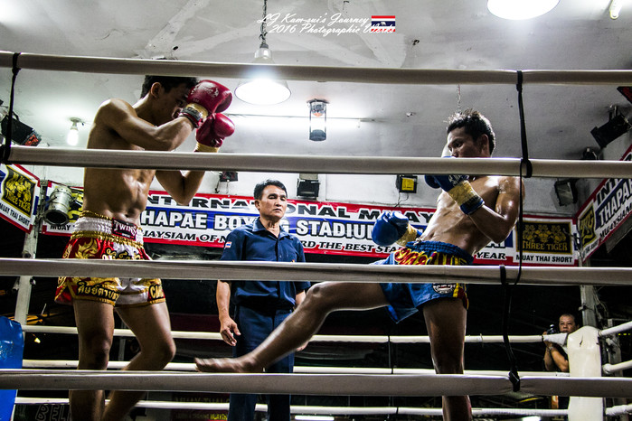 清迈佛寺之城等你采撷的泰北玫瑰,清迈环球旅行家