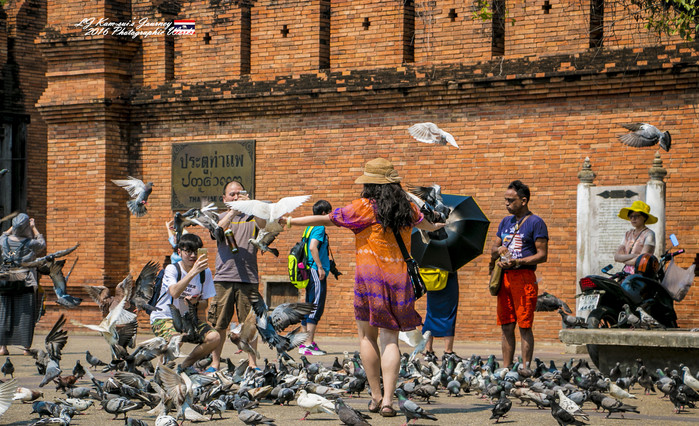 泰国清迈县旅行者,清迈佛寺之城等你采撷的泰北玫瑰