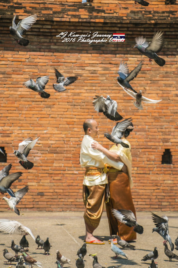 清迈佛寺之城等你采撷的泰北玫瑰,清迈环球旅行家