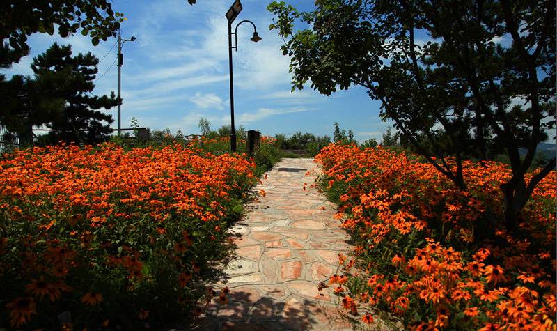 这样的房子你敢购买吗,这样的房子你敢买吗