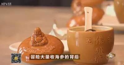 90年代300万养海参,东北小伙花费上亿养海参