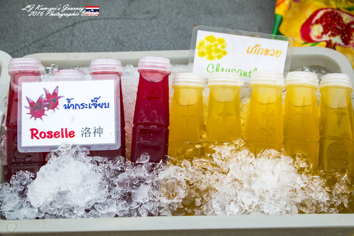 清迈佛寺之城等你采撷的泰北玫瑰,清迈环球旅行家