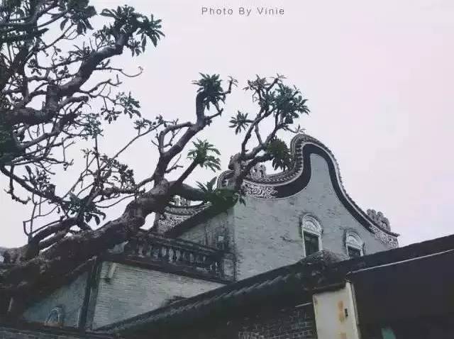 我叫佛山，我家“五美”私房照首次曝光，看看你最中意哪一款？