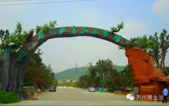 吐血整理，苏州全能省钱手册！从吃到用全都有，超实用