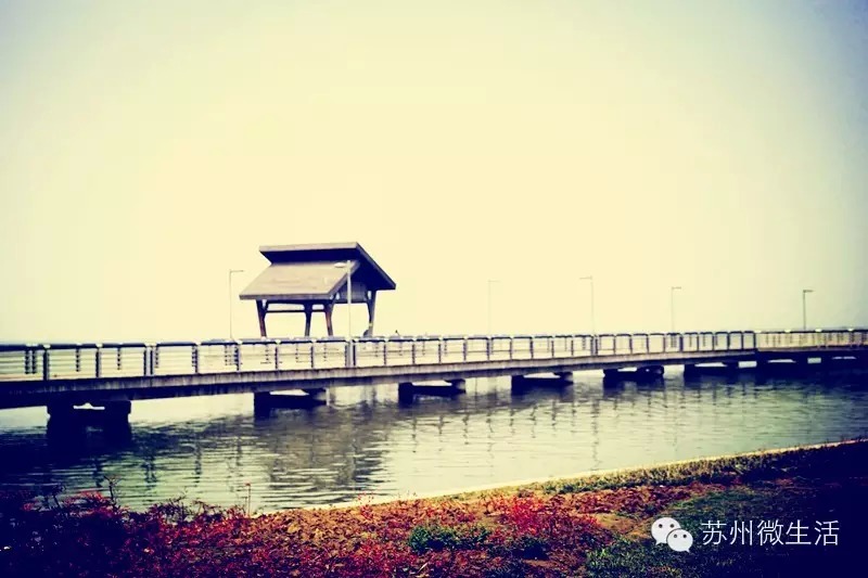 吐血整理，苏州全能省钱手册！从吃到用全都有，超实用