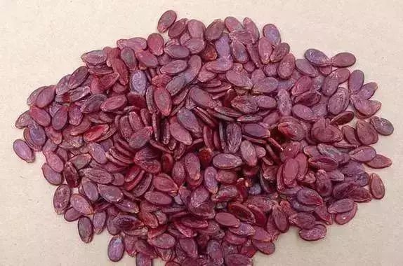 假期返程特产,春节返程带的家乡特产