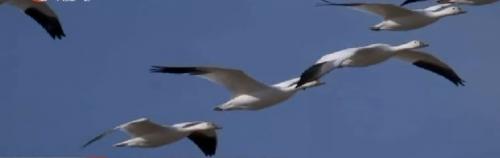 【第一播报】02•23早安！九江