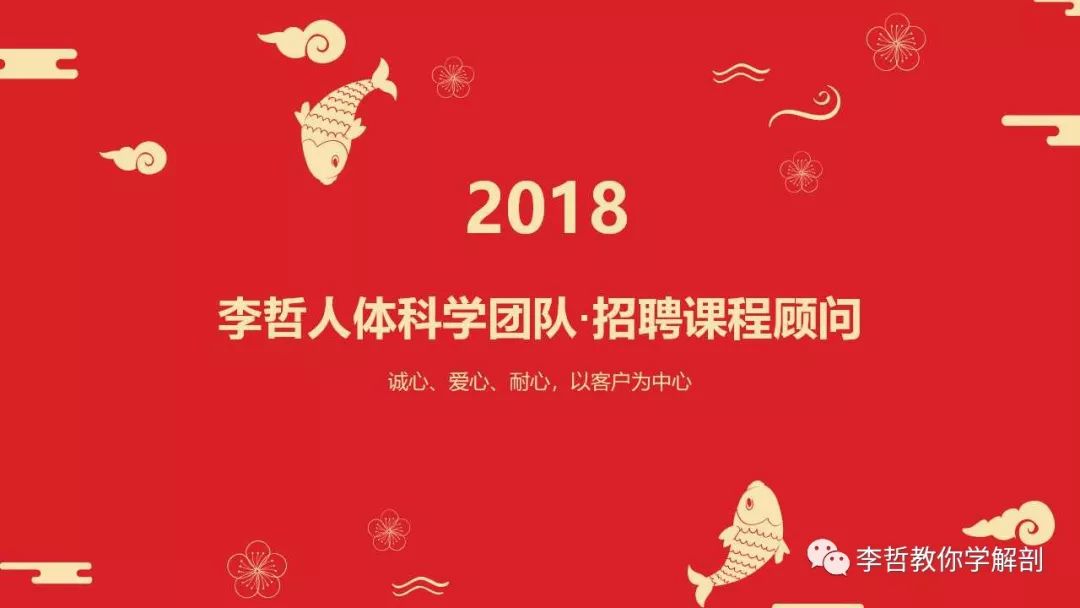 骨盆筋膜疼痛,骨盆痛加腹部痛是怎么回事