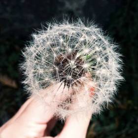 胰岛素笔推药的坏了怎么维修,胰岛素笔坏了怎么补救