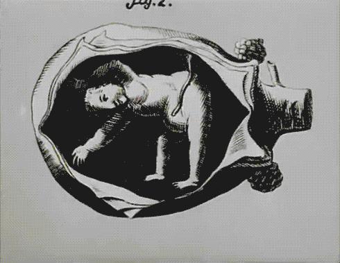 怀孕恐惧症能吃中药调理吗,怀孕恐惧症怎么克服