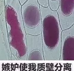 8000块gucci包,gucci买个包7500元购买记录