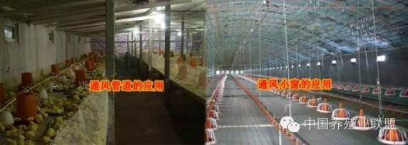 春季温差大鸡舍通风,鸡舍屋顶通风换气最佳方法