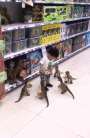 生孩子就是用来玩的经典句子,如果生孩子不是为了玩就毫无意义