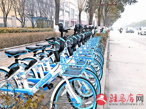 时尚小黄车,时尚小蓝