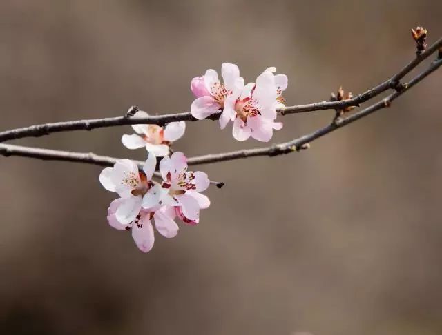 狼牙山龙门湖水上乐园闭园,狼牙山田园花海闭园时间