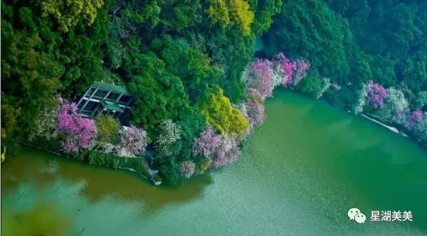 2月16到3月31免门票的地方,七星岩攻略一日游门票