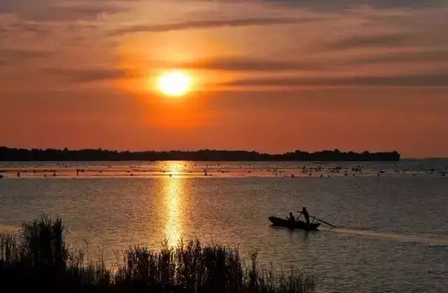 厉害了城阳,厉害了我的家乡青岛