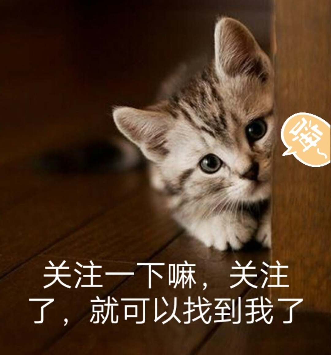 欧美小哥哥高颜值 (超好看的国外小哥哥)