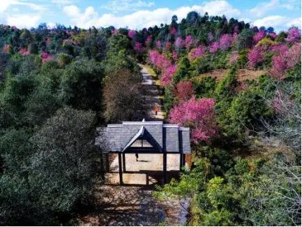 云南过大年,云南过大年怎么样的