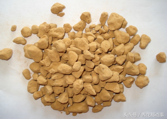 盆栽板结的土壤怎样改良,盆栽土种什么防止板结