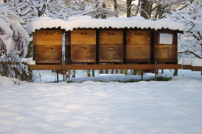 蜜蜂多箱体养殖技术讲解,多箱体叠加式养蜂法