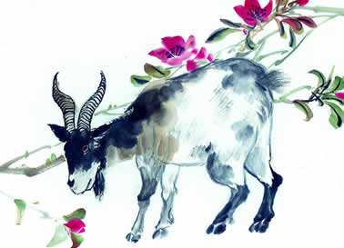 如何化解狗年犯太岁,2018狗年化解太岁