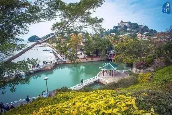 鼓浪屿红瓦绿树,走进厦门鼓浪屿视频