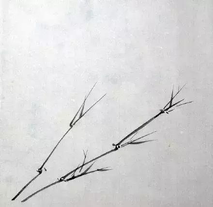 竹子画法教程简单又漂亮,竹子画法的入门教程