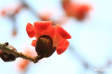 河南中考作文2022年题目解析,河南中考作文历年回顾