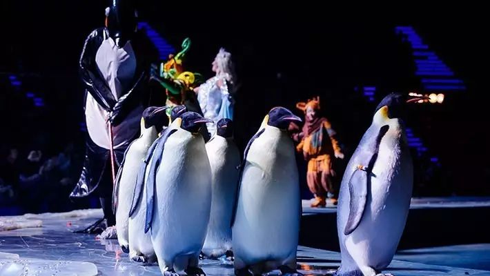 去珠海长隆海洋王国住哪里好,海昌海洋公园和长隆海洋王国