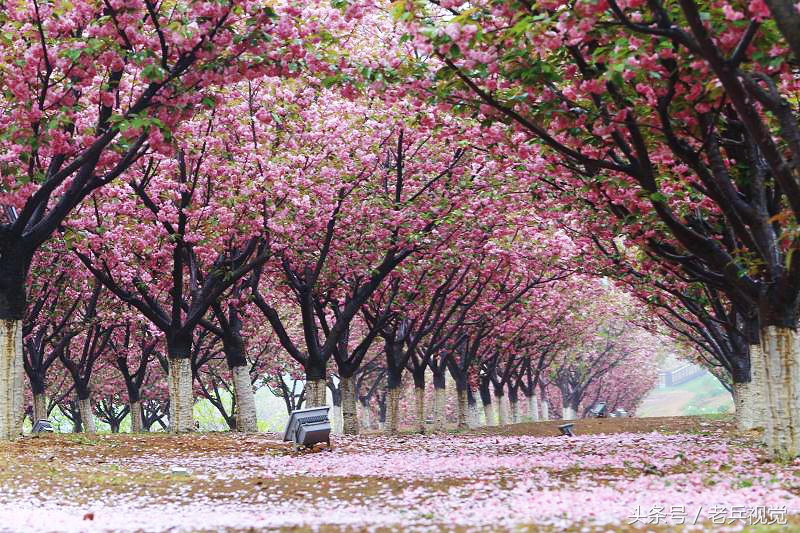 从大连到杭州上海苏州,大连到杭州旅行