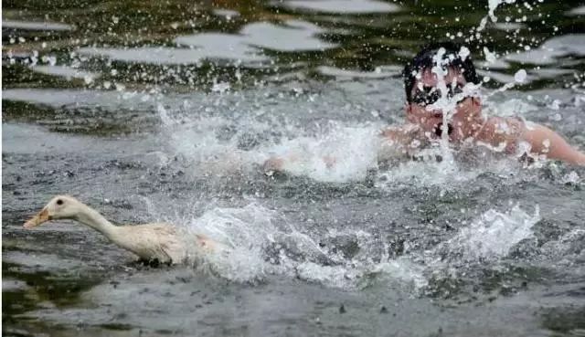 不同年代的集美,集美七十年来的变化