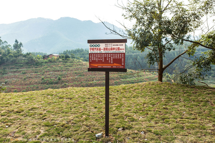 崇左自驾旅游景点有哪些地方,广西崇左沿途的风景