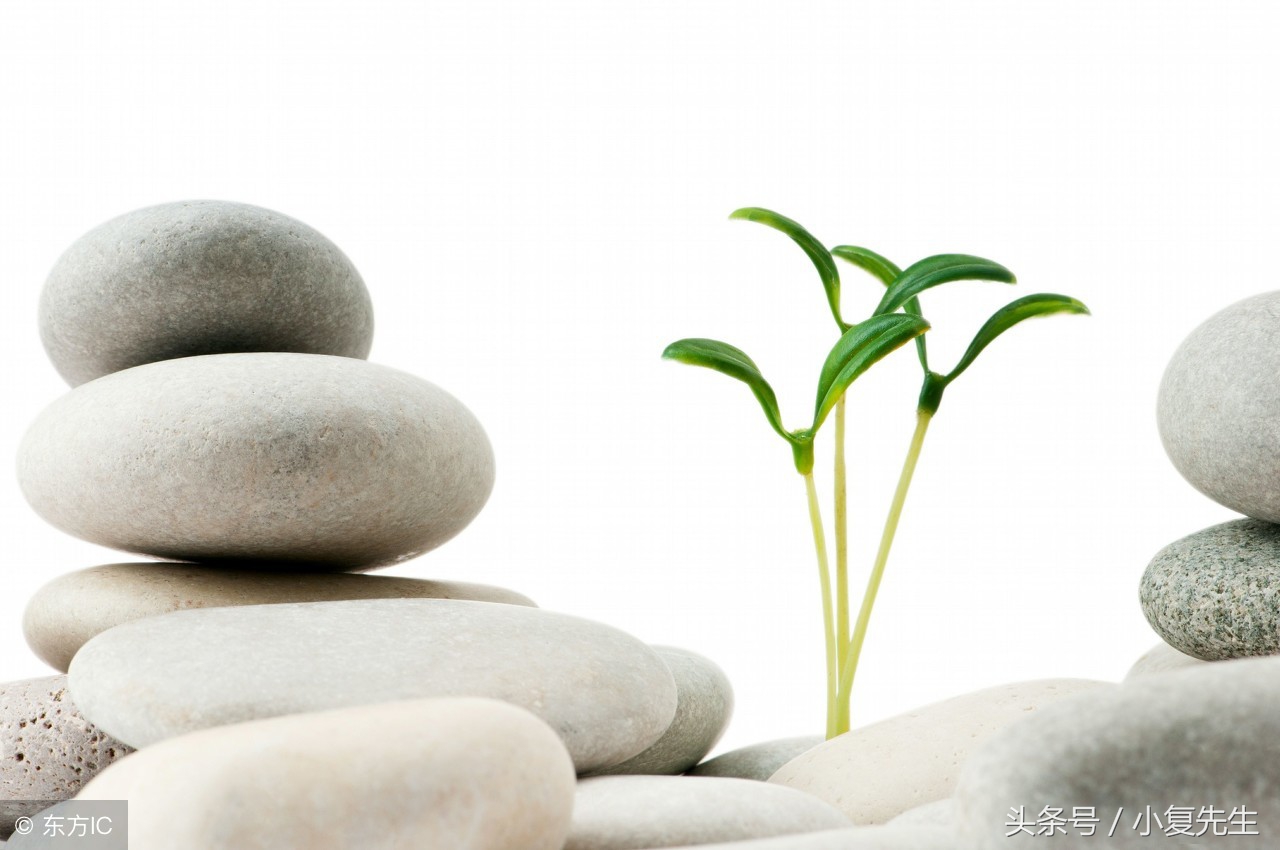 肾病综合征只能用激素治吗,肾病综合征用激素治疗可以吗